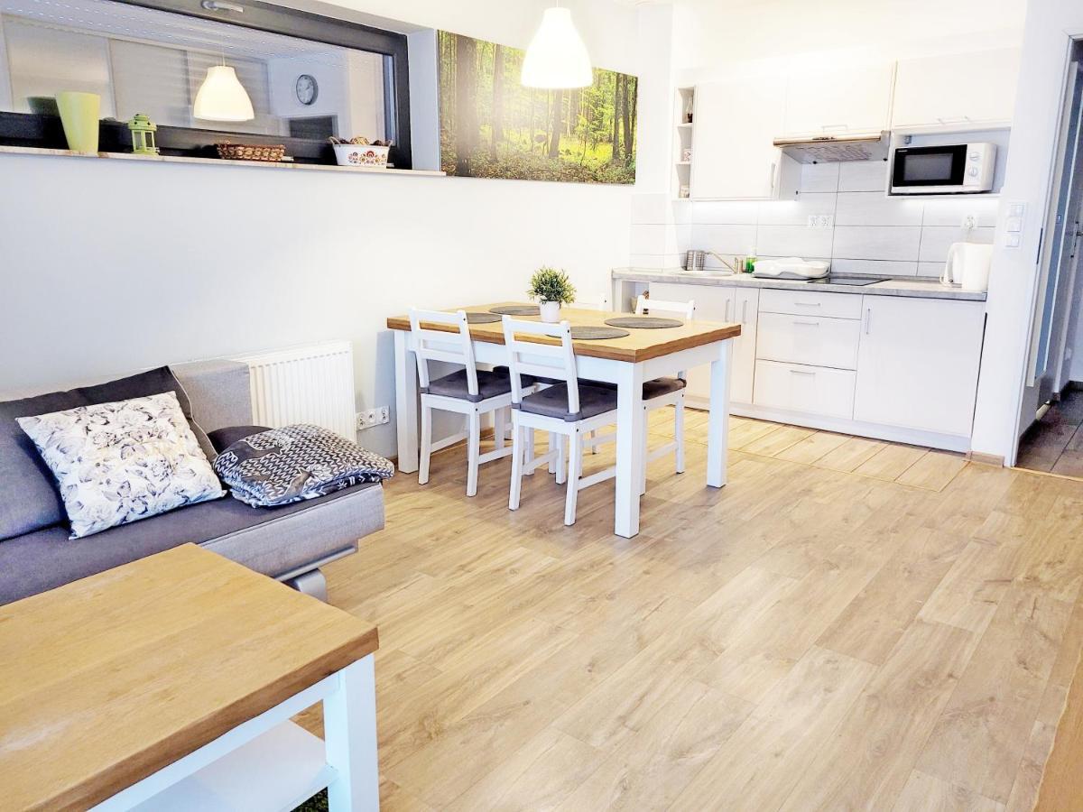 Wellness Apartamenty Zloty Widok Щирк Экстерьер фото
