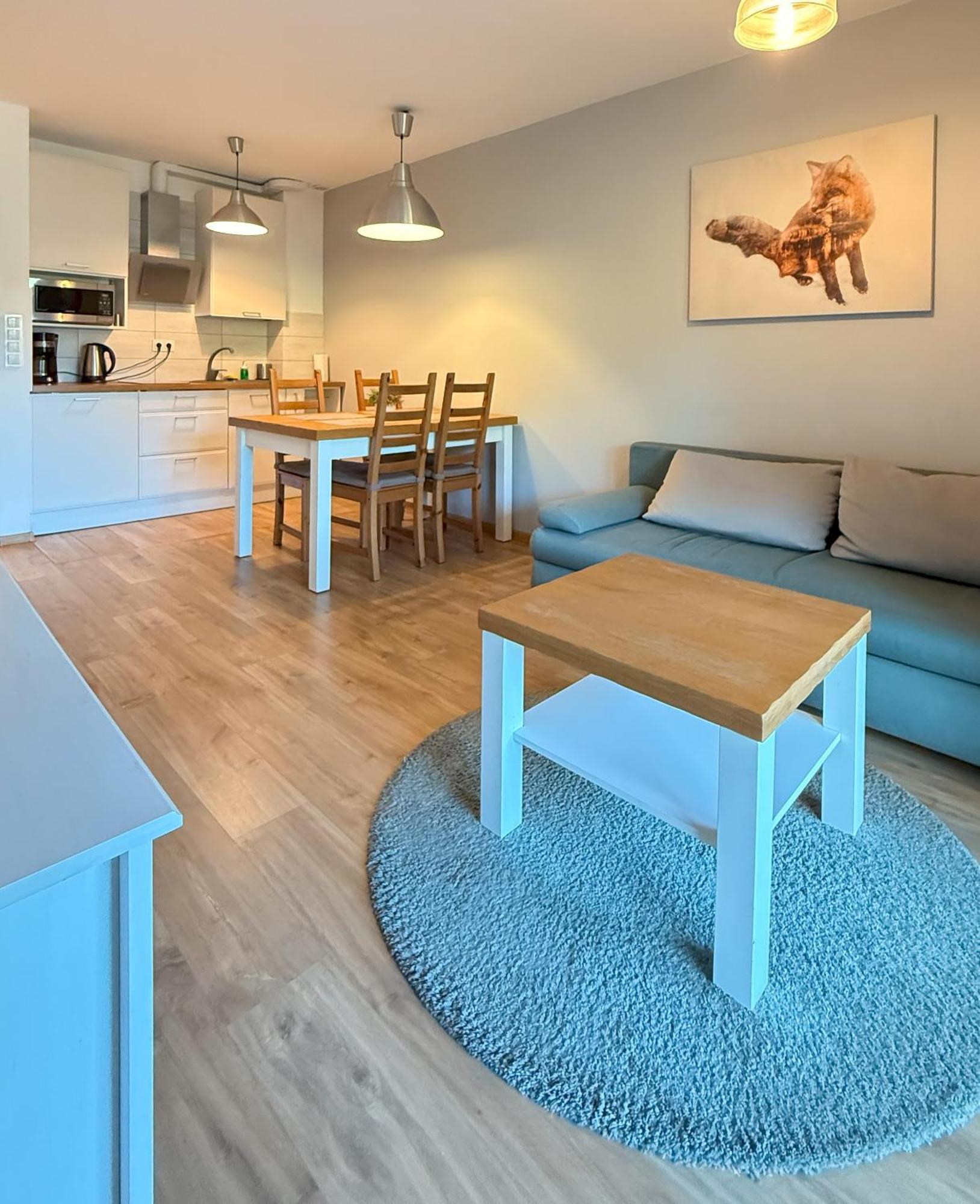Wellness Apartamenty Zloty Widok Щирк Экстерьер фото